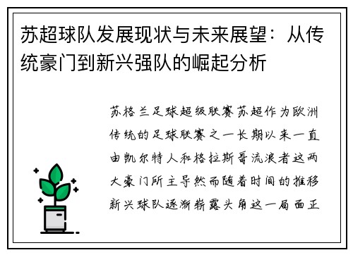苏超球队发展现状与未来展望：从传统豪门到新兴强队的崛起分析