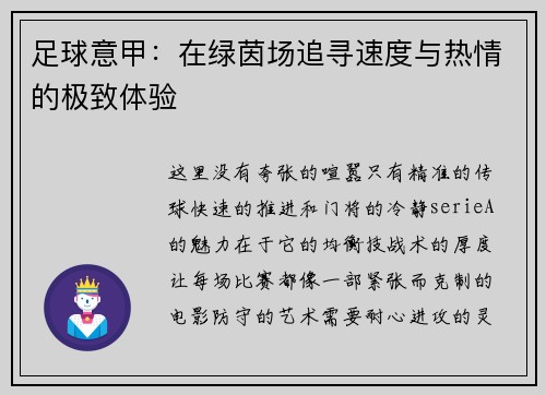 足球意甲：在绿茵场追寻速度与热情的极致体验